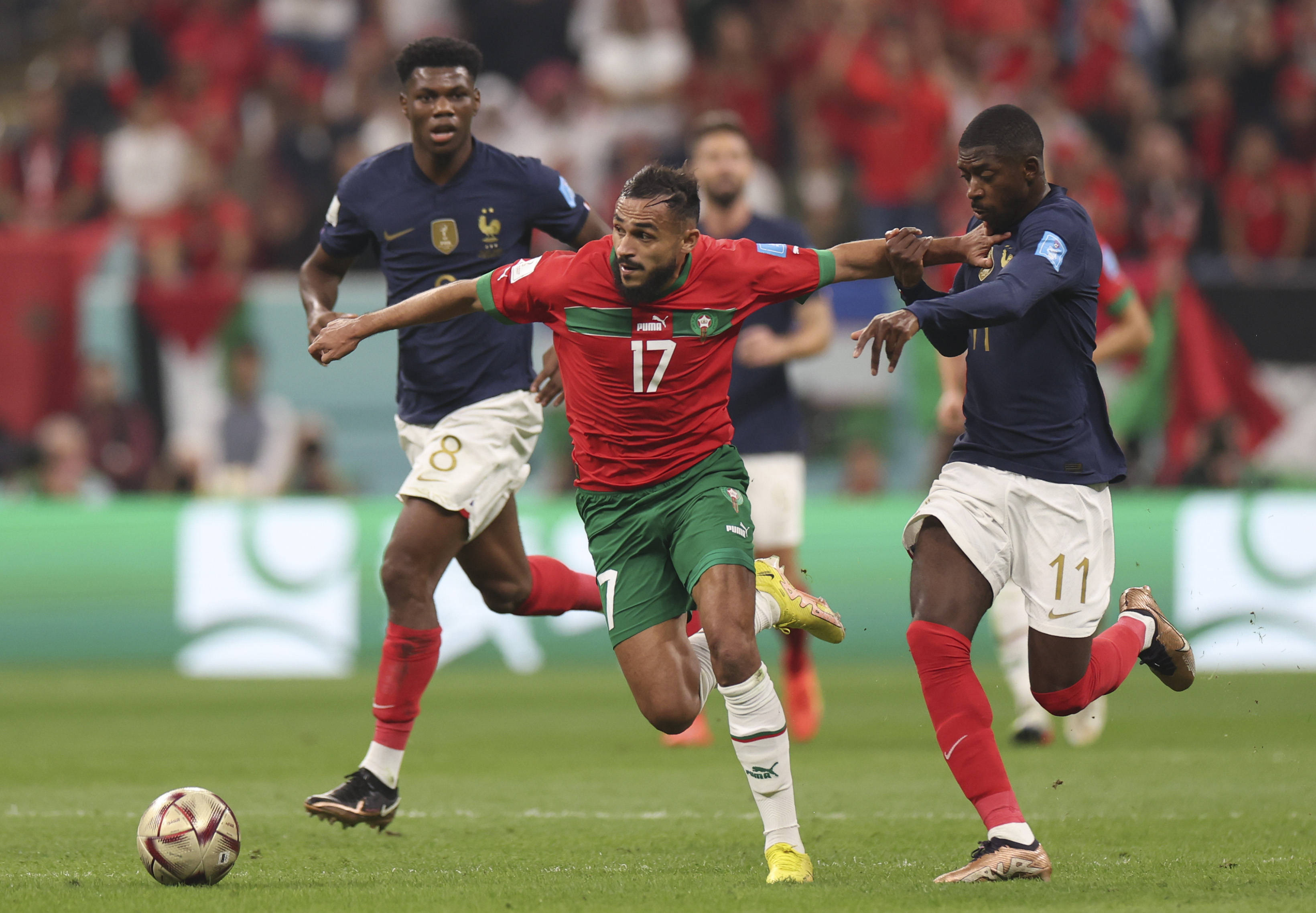 成为具备更 成为具备更